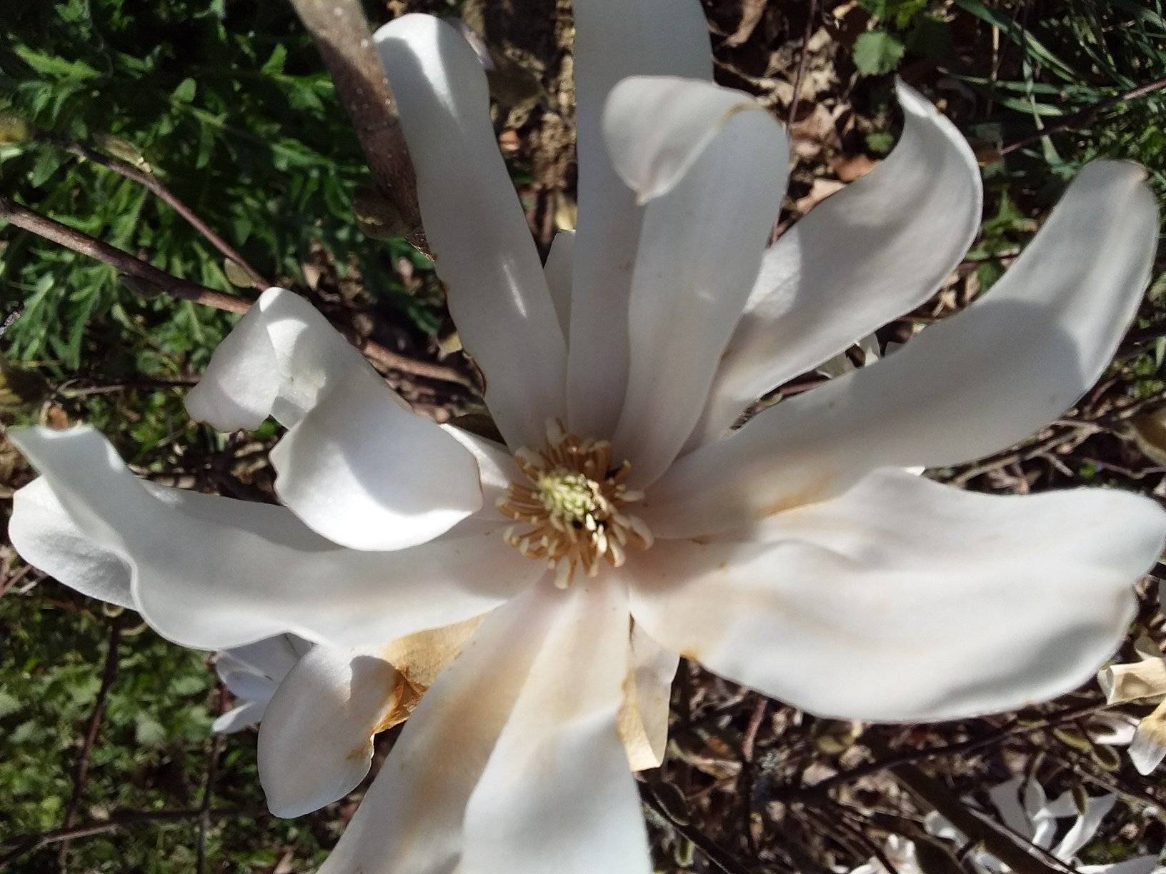 277174694_526837872107423_4501629342661027489_n