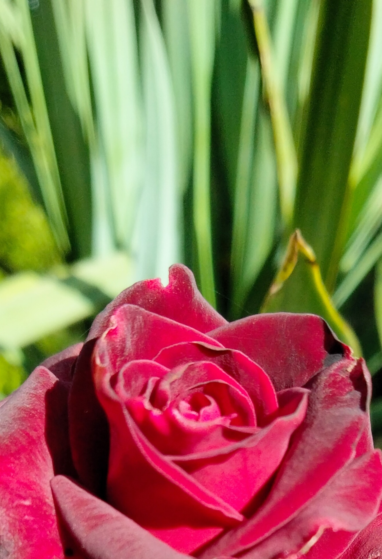 375059230_858427528948454_1520007984205954348_n