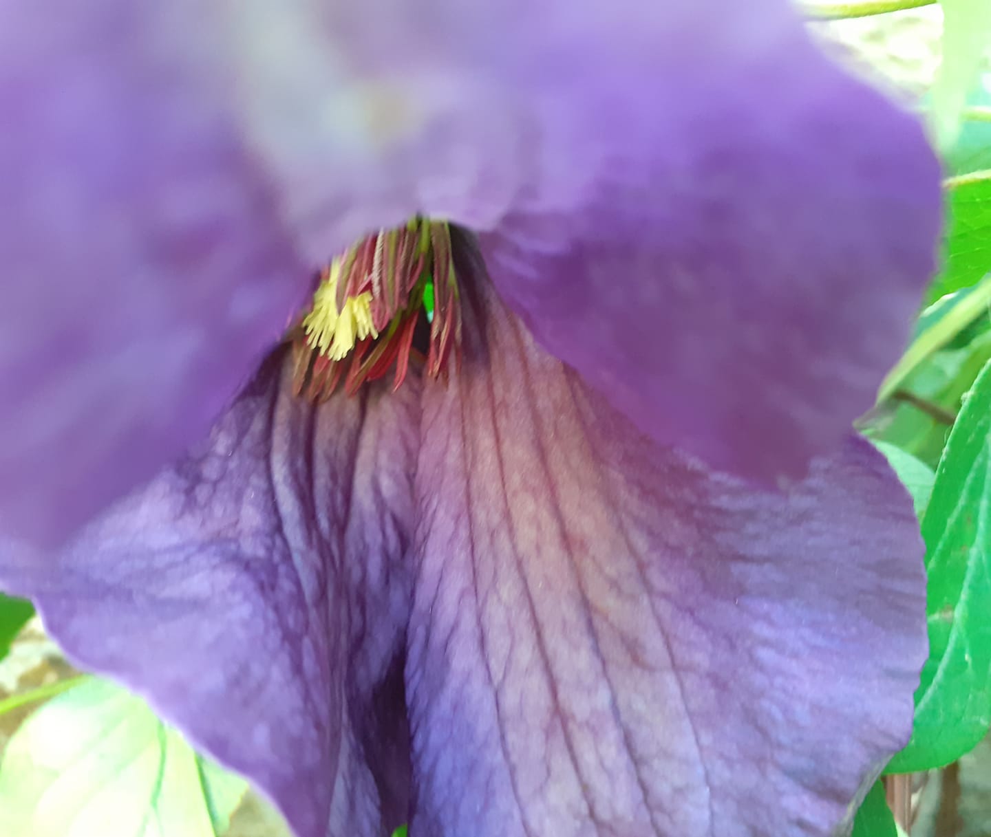 98135799_176482153809665_3610940505107464192_n