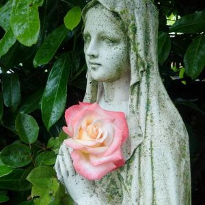 117182042_198026008321946_3013760095386989841_n