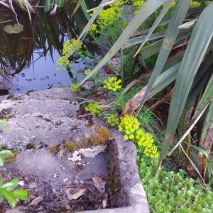 184878731_331258121665400_2758099536412566536_n