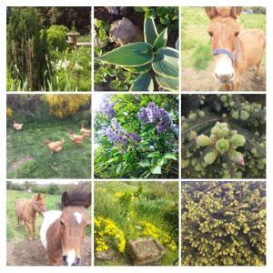 185923689_331845058273373_391445401107718221_n