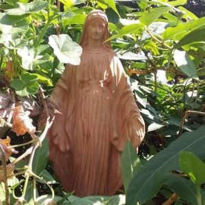 225415199_3672607669631631_7176268327695667375_n