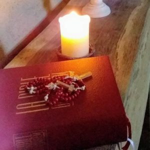 279026003_548234373301106_5178838537119773977_n