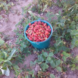 287877643_580172080107335_1558483071794380302_n