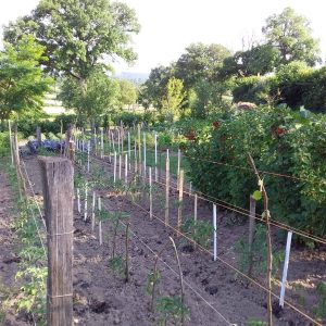 287957082_580148956776314_4835788957152830499_n