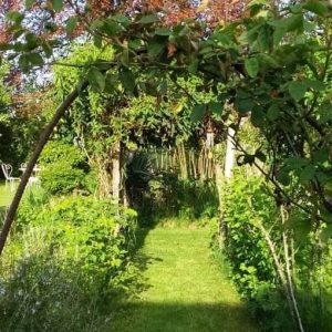 288226158_580148643443012_1040993059925948394_n