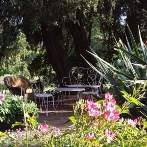 288363900_580171986774011_4785178190595499130_n