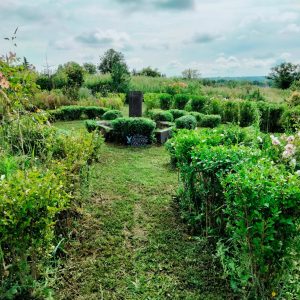 347627993_784130646835125_8126218478164832997_n