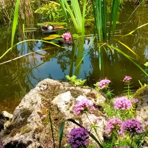 353772289_815902009867673_5465661332035776246_n