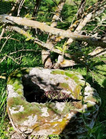 438129078_948140643767457_678784386908835173_n