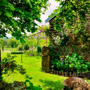 447281548_970327638215424_2165834345751357411_n