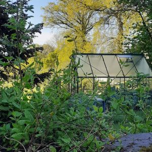 93323743_168502787940935_4975952747535794176_n